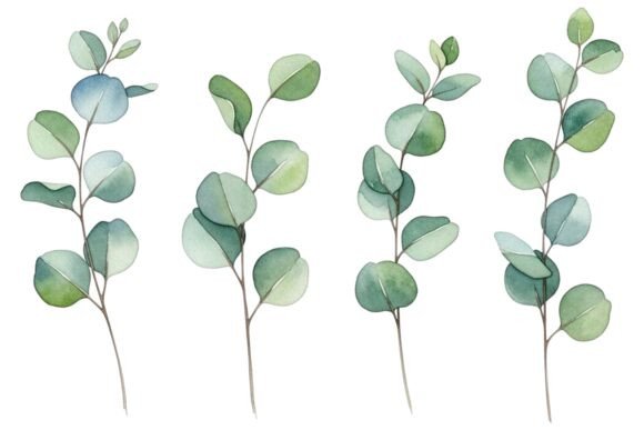 Bring Organic Serenity to Your Designs with Watercolor Eucalyptus Leaves