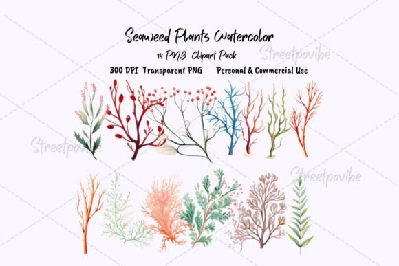 Seaweeds Plant Watercolor Clipart PNG: Natural Design Elements